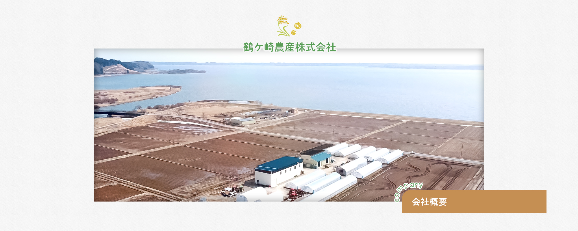 会社概要