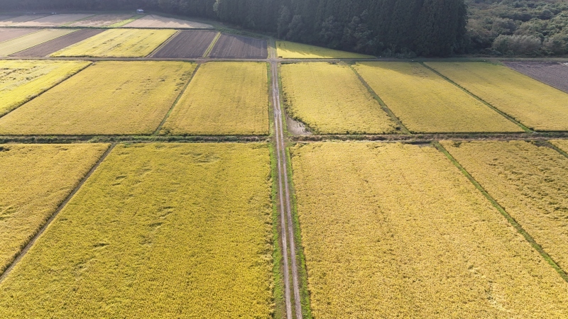 DJI_20261013142931_0003_D