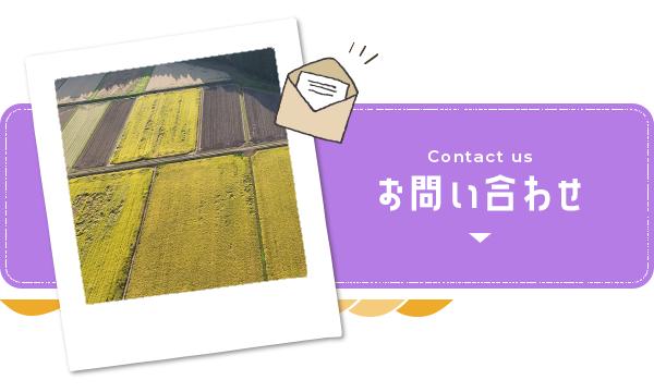 bnrhalf_contact_off