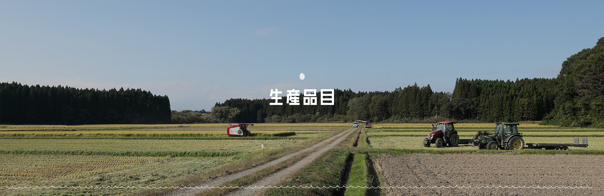 生産品目