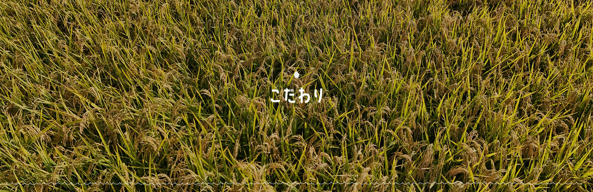 こだわり